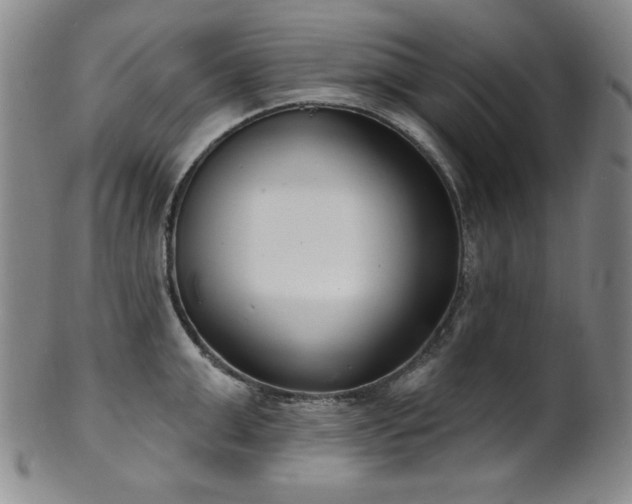 X0000101700999200807101532