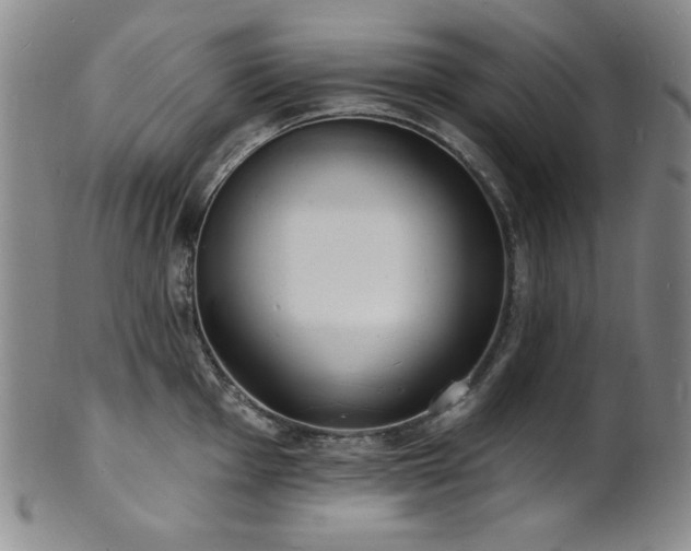 X0000101701001200807101532