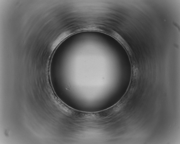 X0000101701002200807101532