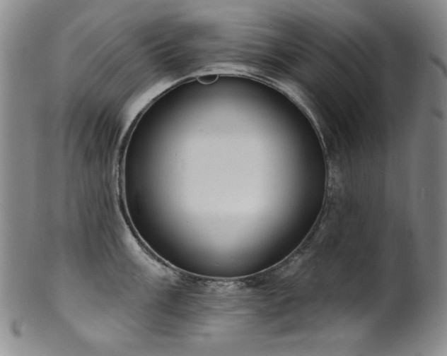 X0000101701003200807101532