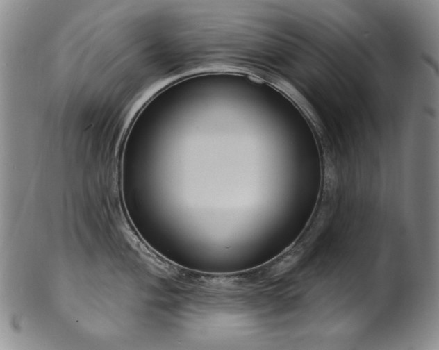 X0000101701004200807101532