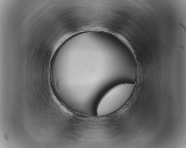 X0000101701005200807101532