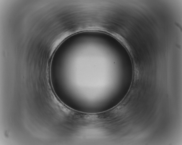 X0000101701006200807101532