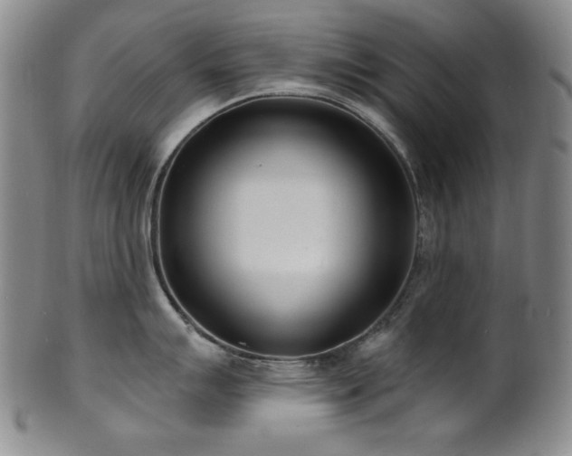 X0000101701007200807101532