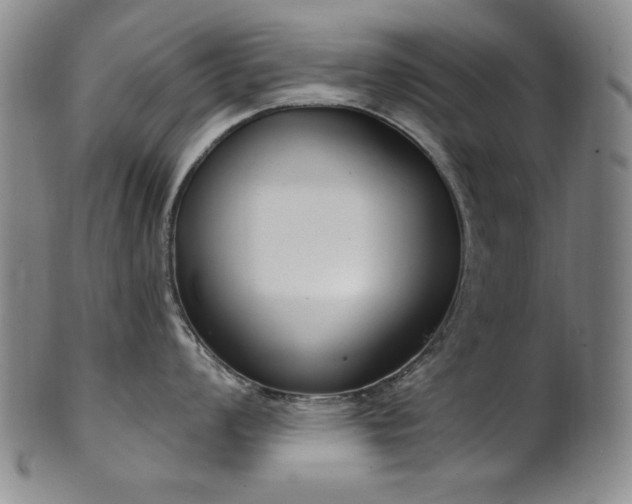 X0000101701008200807101532