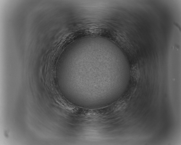 X0000101701009200807101531