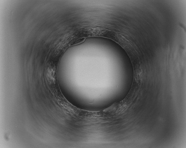X0000101701010200807101531