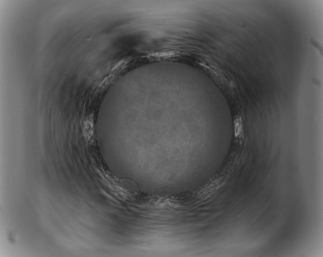 X0000101701011200807101531