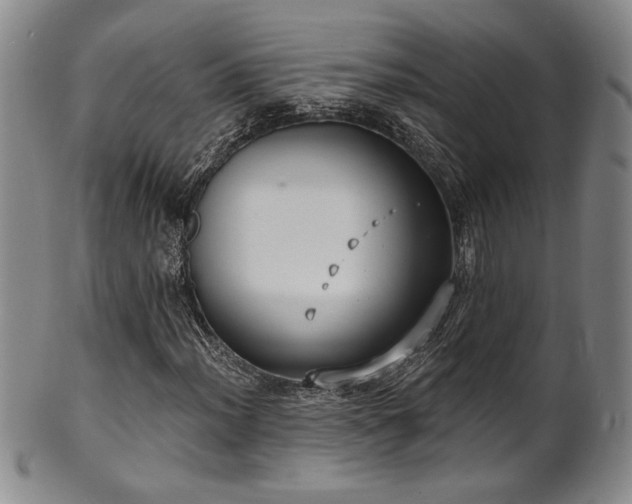 X0000101701012200807101531