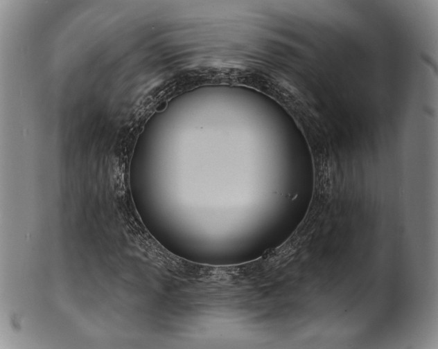 X0000101701013200807101531