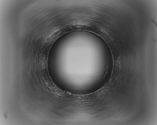 X0000101701014200807101531