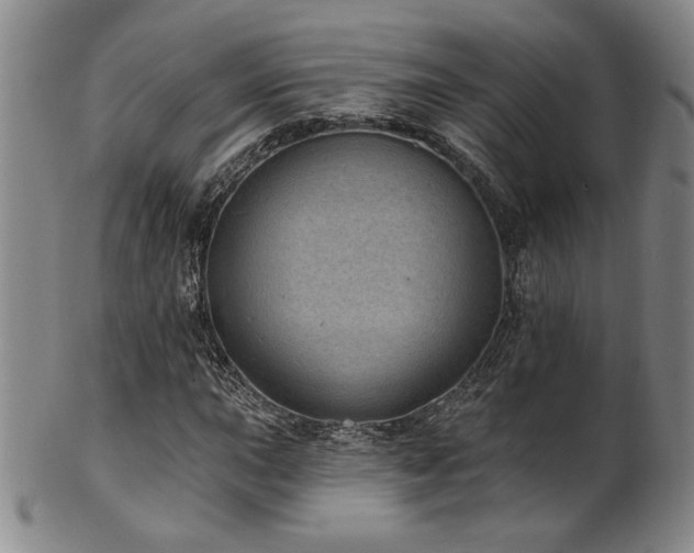 X0000101701015200807101531