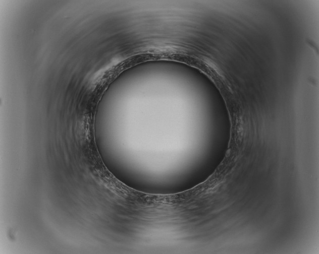 X0000101701016200807101531