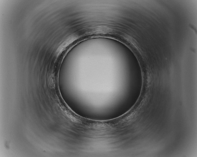 X0000101701018200807101532