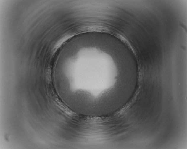 X0000101701019200807101532