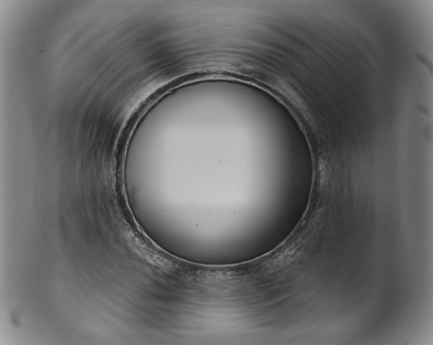 X0000101701020200807101532