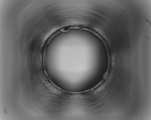 X0000101701021200807101532