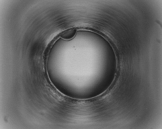 X0000101701022200807101532