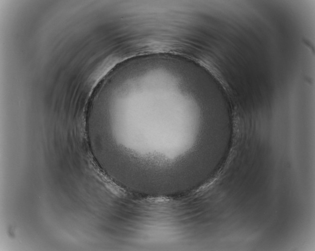 X0000101701023200807101532