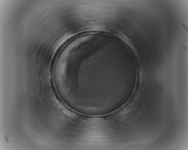 X0000101701024200807101532