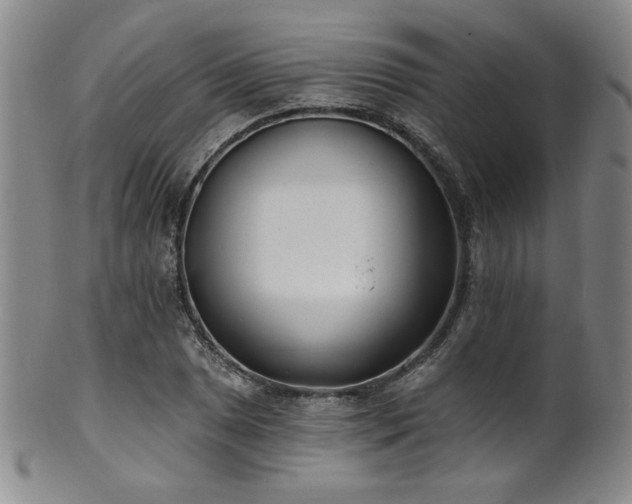X0000101701025200807101532