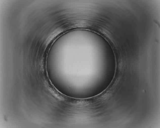 X0000101701026200807101532