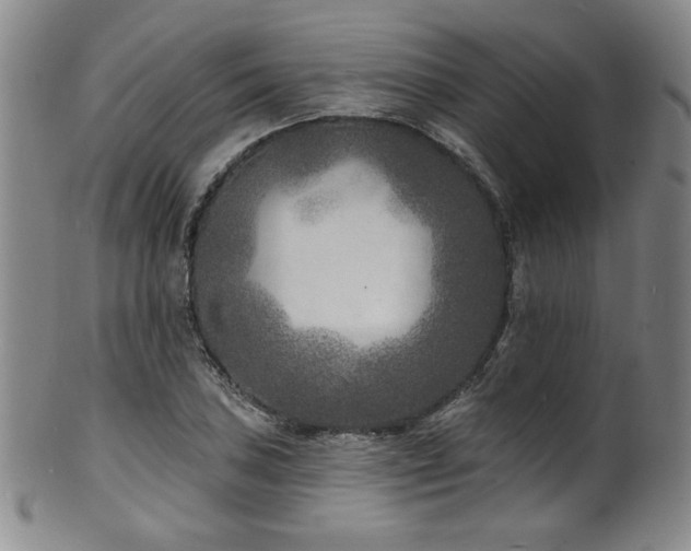 X0000101701027200807101532