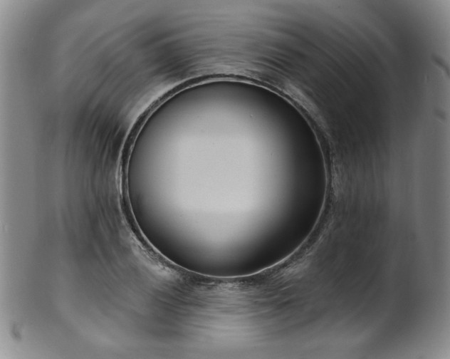 X0000101701028200807101532