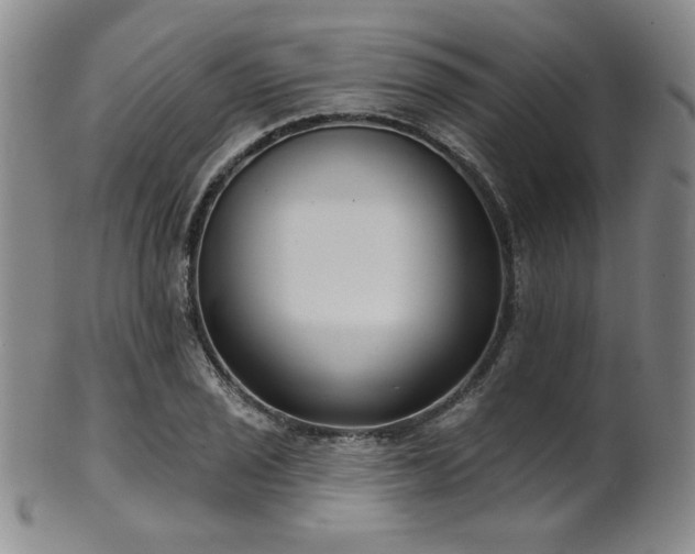 X0000101701029200807101532