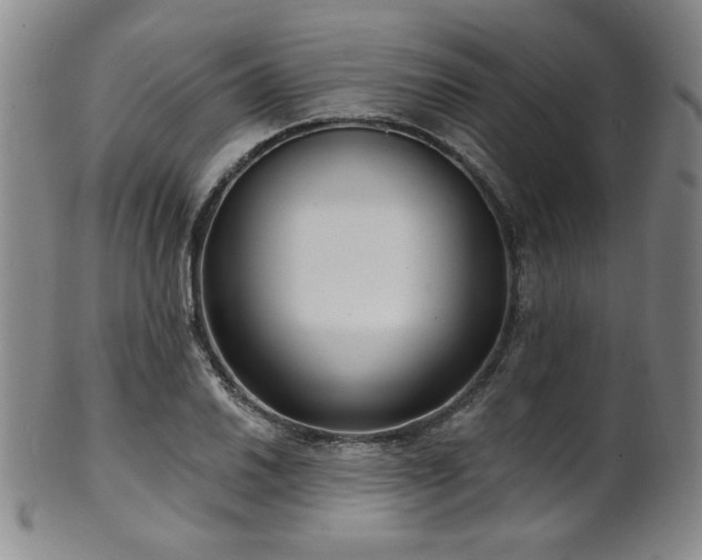 X0000101701030200807101532