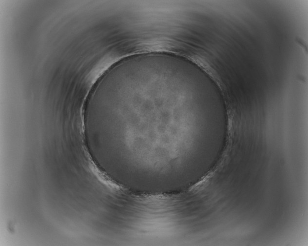X0000101701031200807101532