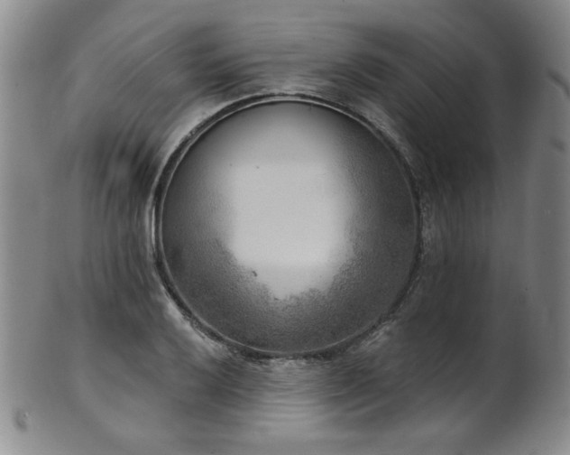 X0000101701032200807101532