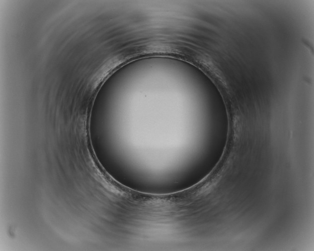 X0000101701033200807101532
