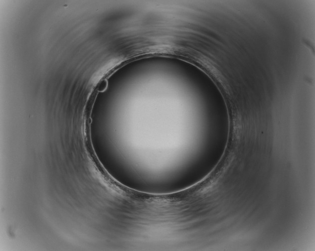 X0000101701034200807101532