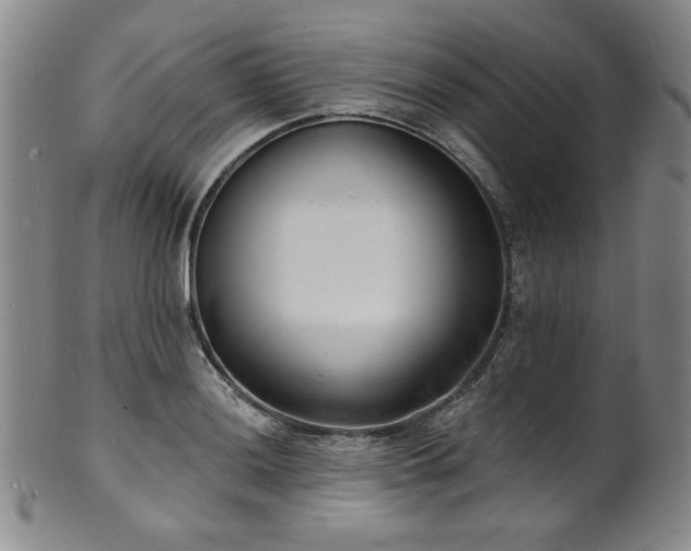 X0000101701036200807101532