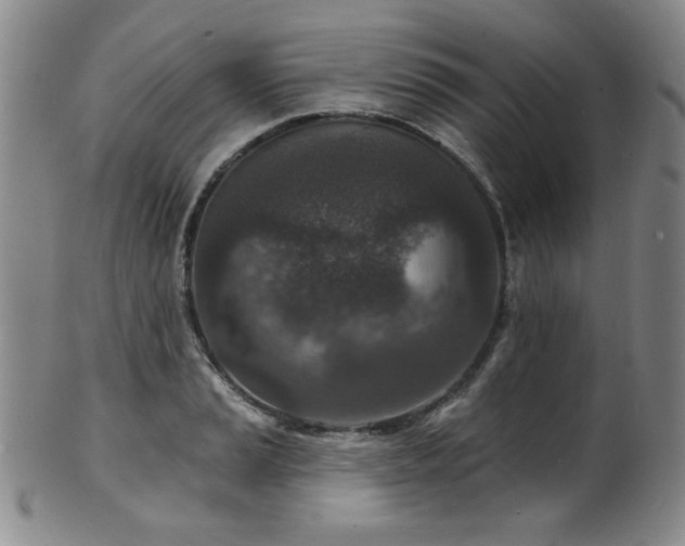 X0000101701037200807101532