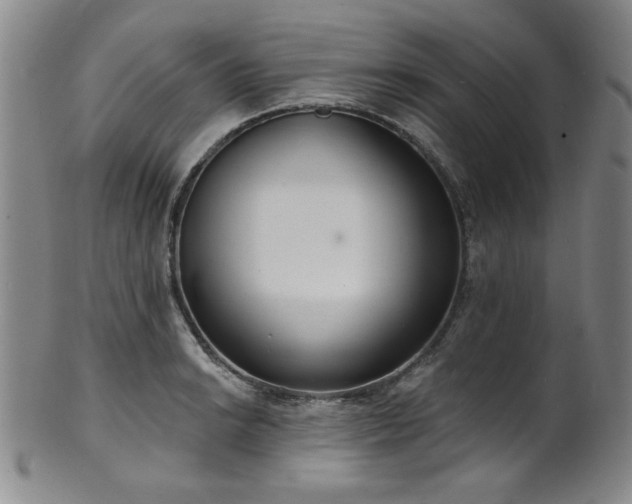 X0000101701038200807101532