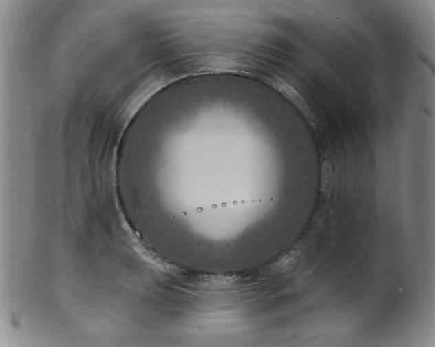 X0000101701039200807101532