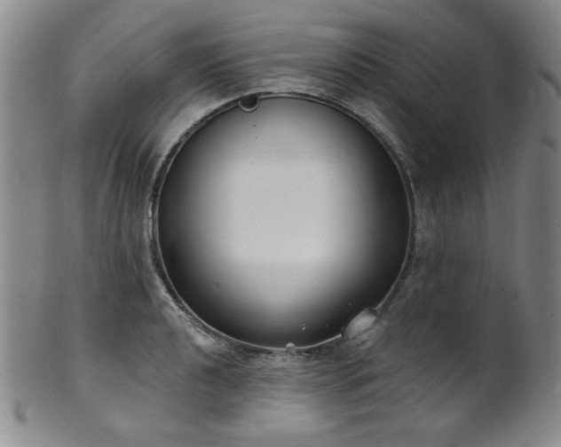 X0000101701040200807101532