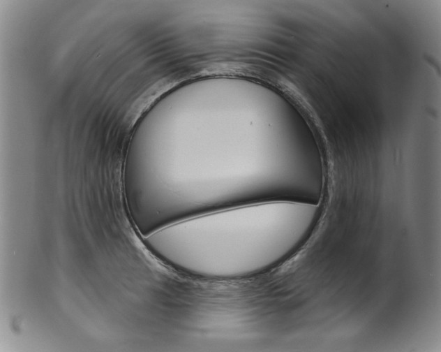 X0000101701041200807101532