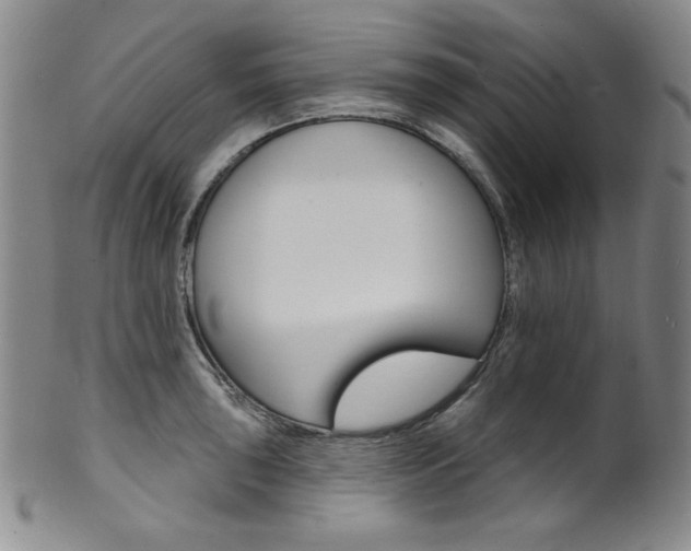 X0000101701043200807101532