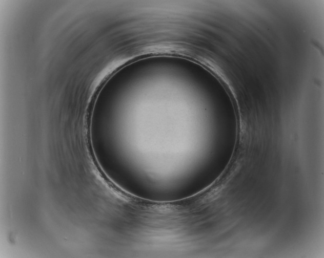 X0000101701045200807101532
