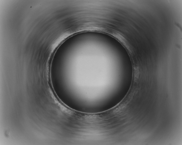 X0000101701046200807101532