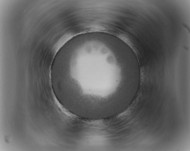 X0000101701047200807101532