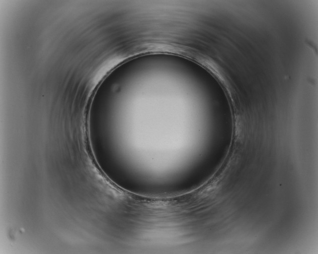 X0000101701048200807101532
