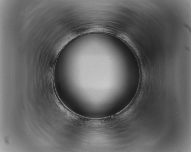 X0000101701049200807101532