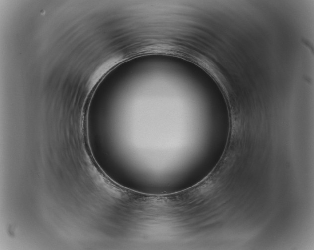 X0000101701050200807101532