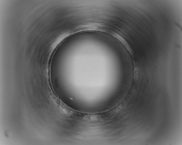 X0000101701051200807101532