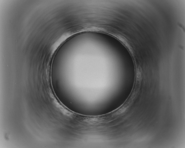 X0000101701054200807101532