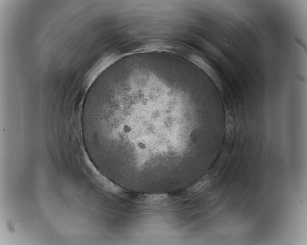 X0000101701055200807101532